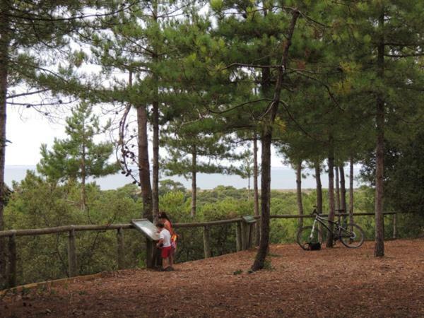 Camping Le Bois Verdon Saint-Jean-de-Monts Exterior foto